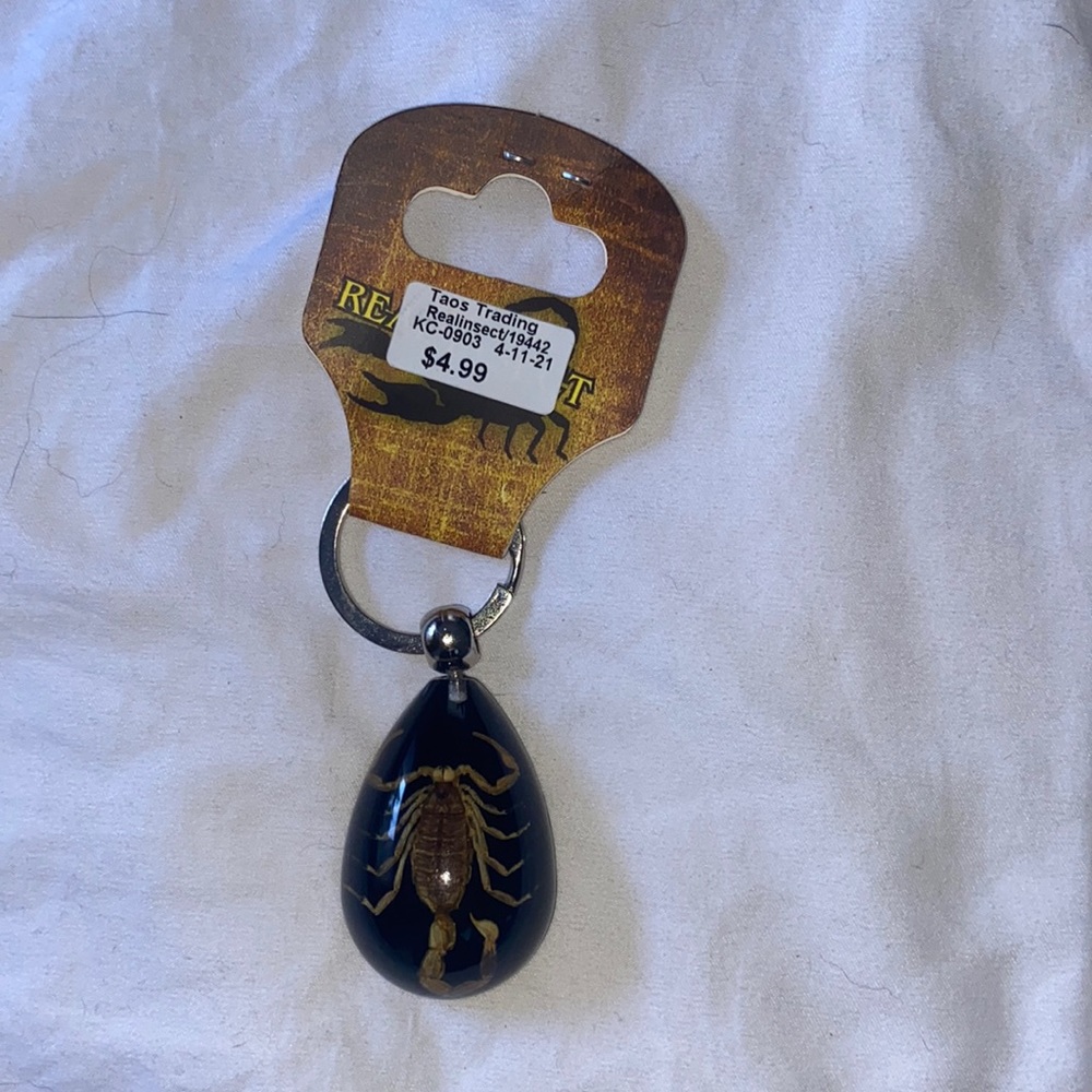 real insect inside of amber